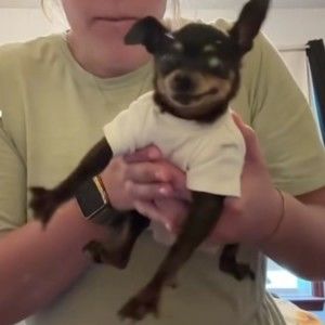 Meet your Posher, Carly